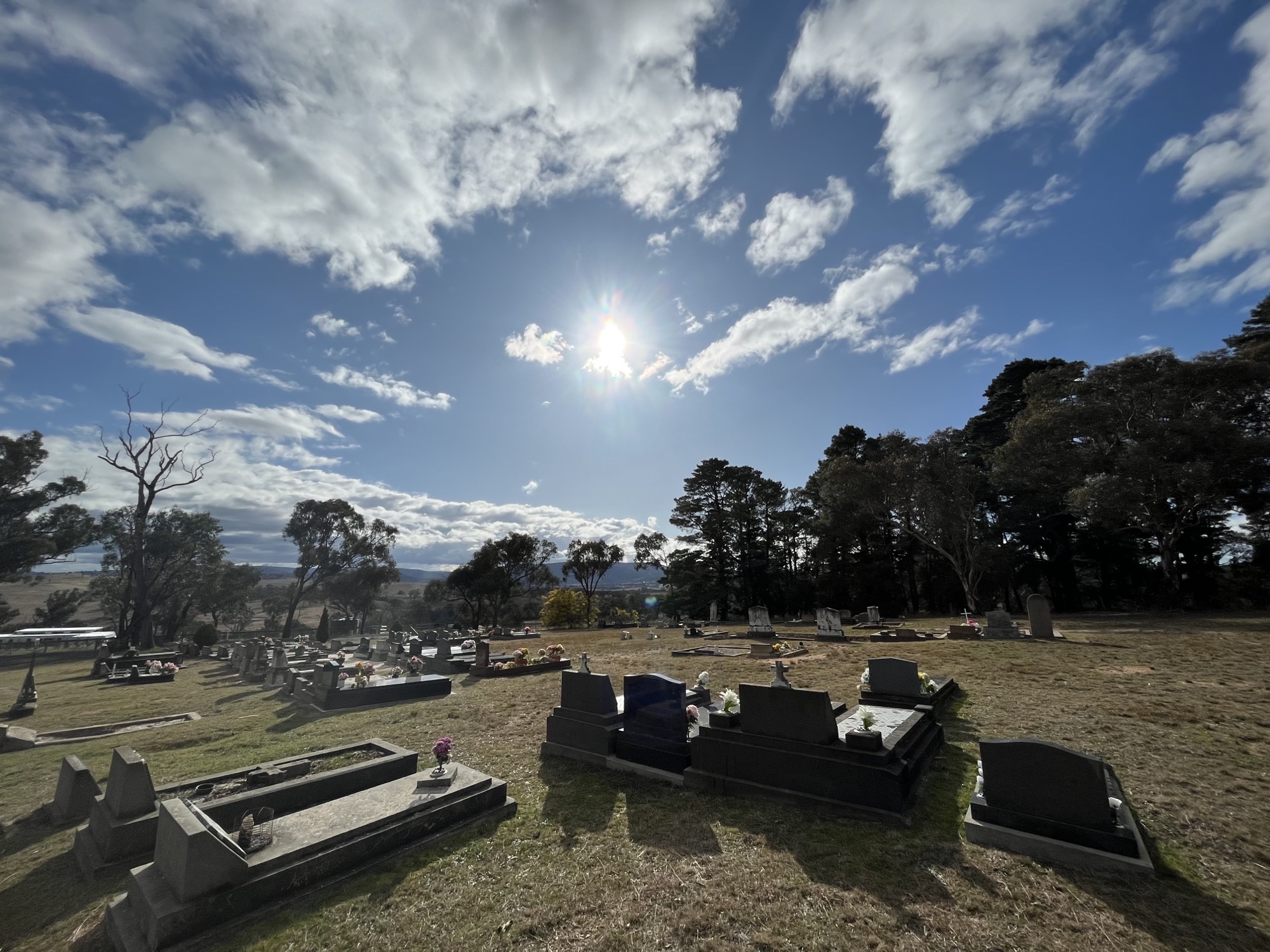 220823-OConnell-Cemetery-Image-006.jpeg