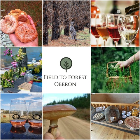 Oberon hosts the popular Field to Forest Festival throughout April which includes wine tours, foraging and much more 
