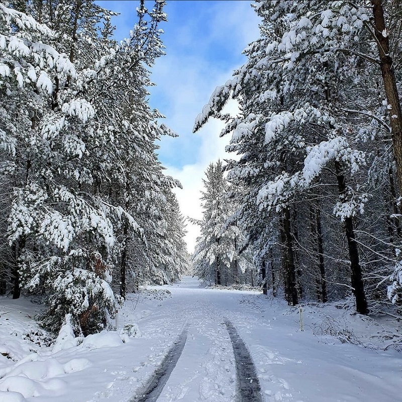 Oberon has four distinct seasons including snow in the winter 